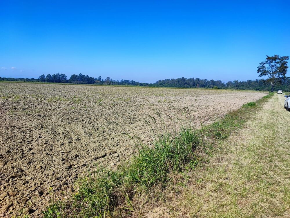 Terreno à venda, 24500m² - Foto 5