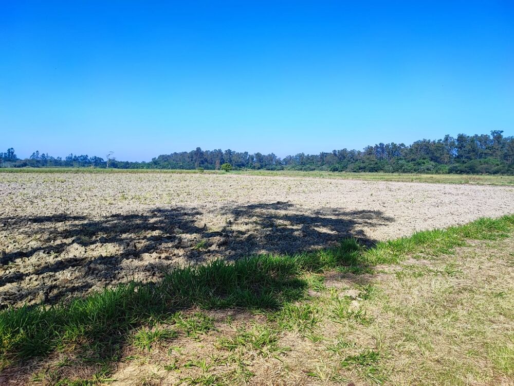 Terreno à venda, 24500m² - Foto 3