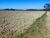 Terreno, 2 hectares - Foto 8