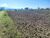 Terreno, 2 hectares - Foto 7