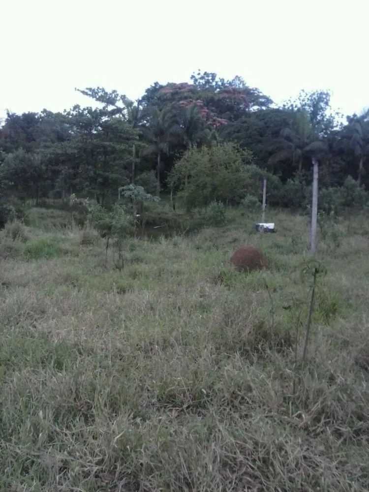 Chácara, 2 quartos - Foto 1