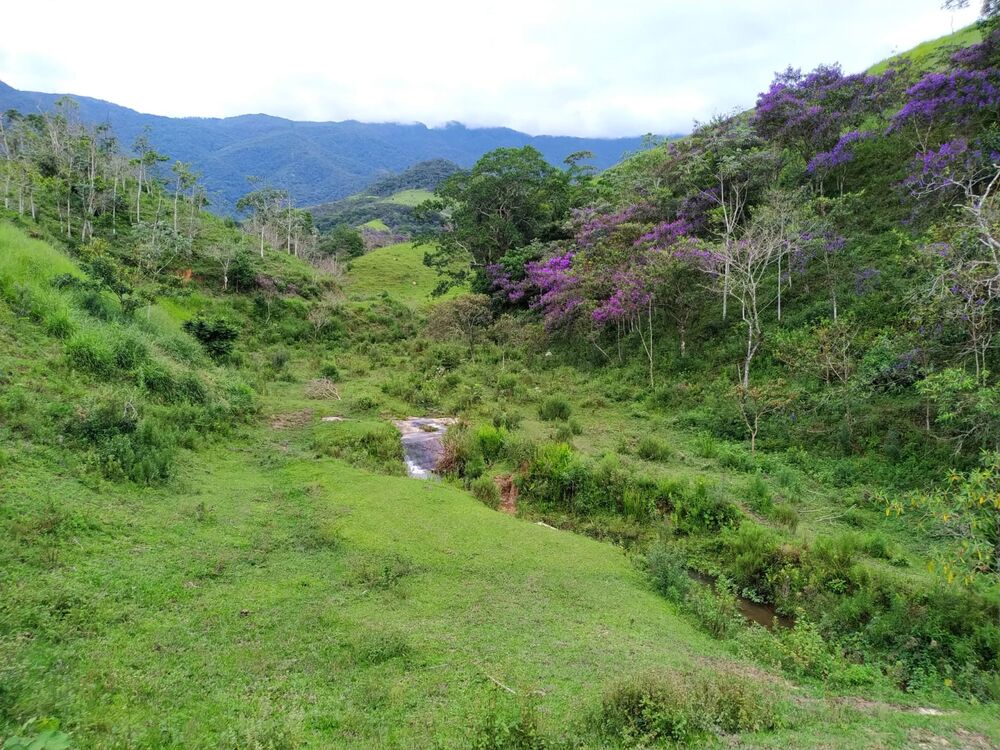 Terreno à venda, 76000m² - Foto 11