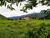 Terreno, 8 hectares - Foto 14