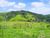 Terreno, 8 hectares - Foto 16