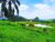 Terreno, 8 hectares - Foto 1