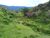 Terreno, 8 hectares - Foto 11