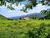 Terreno, 8 hectares - Foto 15