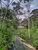 Terreno, 8 hectares - Foto 12
