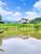 Terreno, 8 hectares - Foto 4