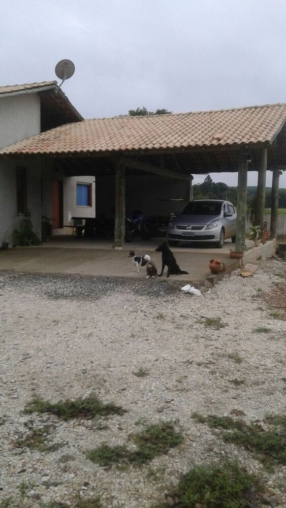 Sítio, 2 quartos, 2000 m² - Foto 6