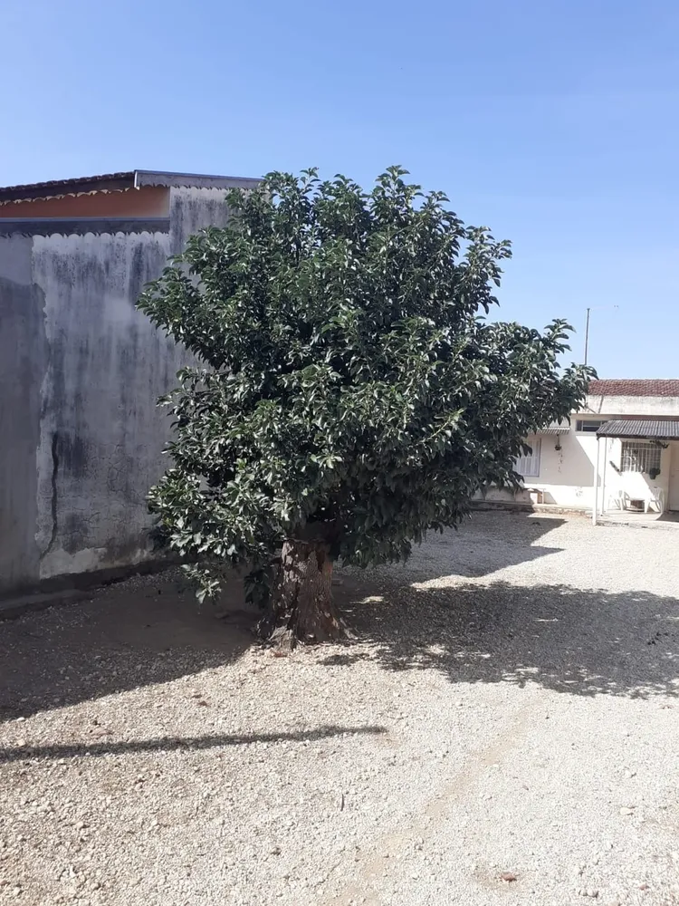 Casa, 1 quarto, 50 m² - Foto 4