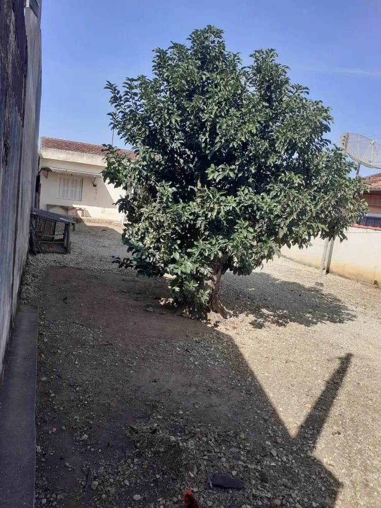 Casa, 1 quarto, 50 m² - Foto 2