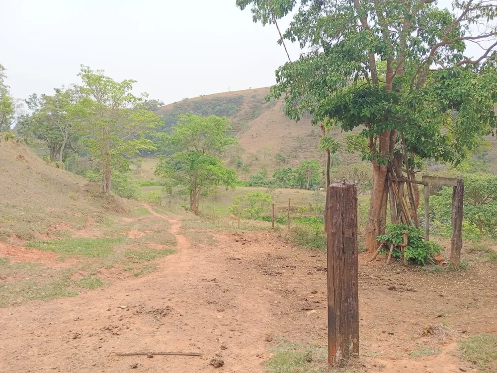 Fazenda, 135520 hectares - Foto 4