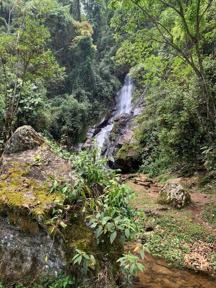 Terreno à venda, 40000m² - Foto 4