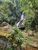 Terreno, 4 hectares - Foto 4