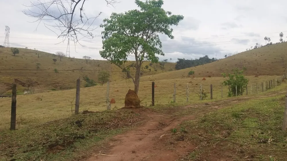 Sítio, 3 quartos, 25 hectares - Foto 4