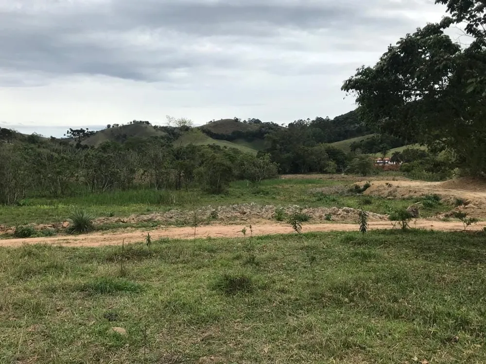 Terreno, 3 hectares - Foto 4