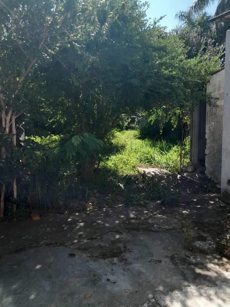 Casa, 2 quartos, 114 m² - Foto 15