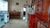 Chácara, 3 quartos, 1000 m² - Foto 4