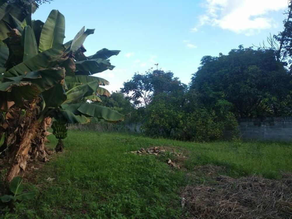 Chácara, 3 quartos, 1000 m² - Foto 6