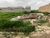 Terreno, 250 m² - Foto 1