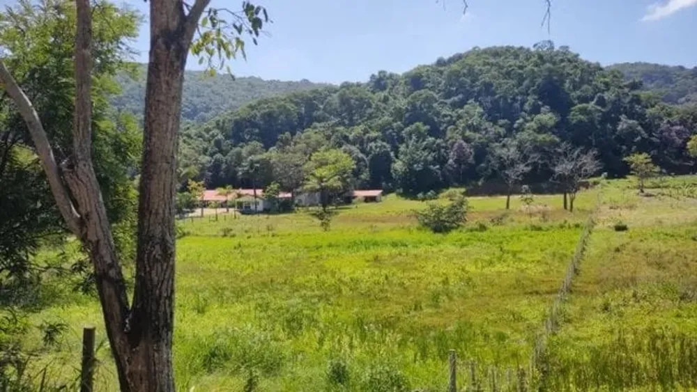 Terreno, 7 hectares - Foto 1