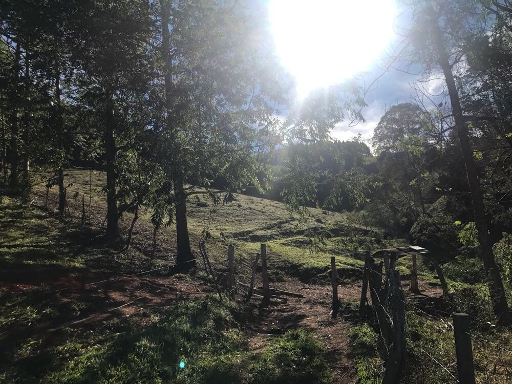 Sítio à venda com 3 quartos, 157000m² - Foto 1