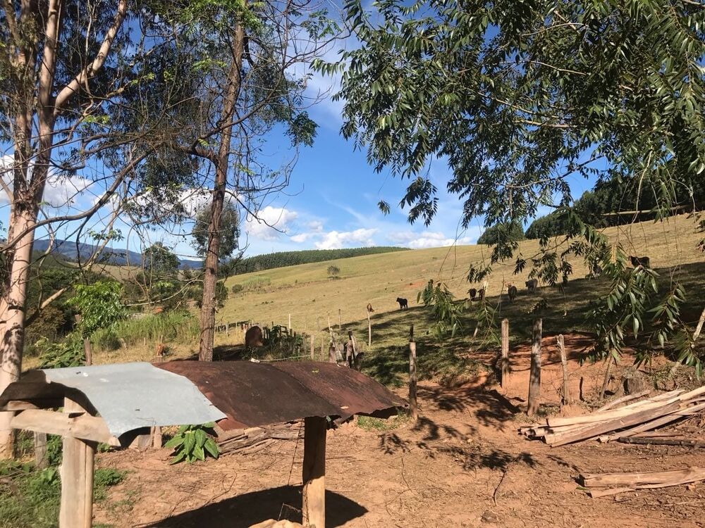 Sítio à venda com 3 quartos, 157000m² - Foto 2