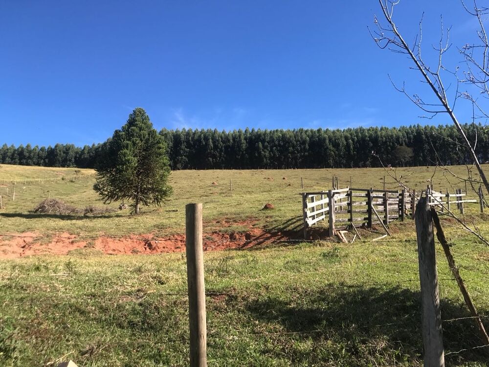 Sítio à venda com 3 quartos, 157000m² - Foto 3