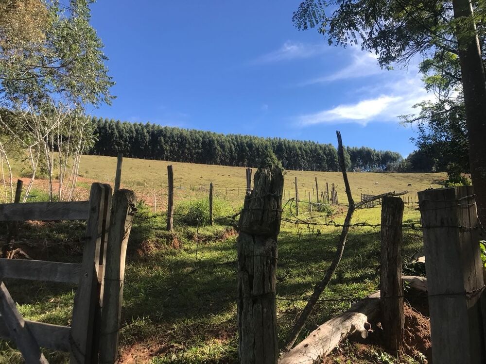 Sítio à venda com 3 quartos, 157000m² - Foto 4
