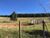 Sítio, 3 quartos, 16 hectares - Foto 3