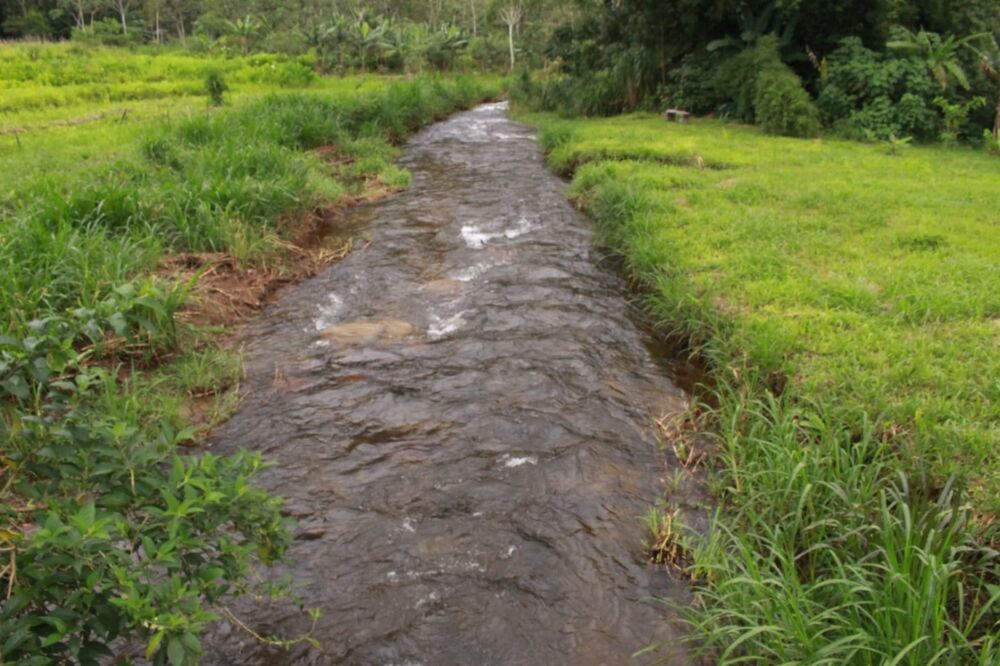 Chácara, 4 quartos, 6 hectares - Foto 5