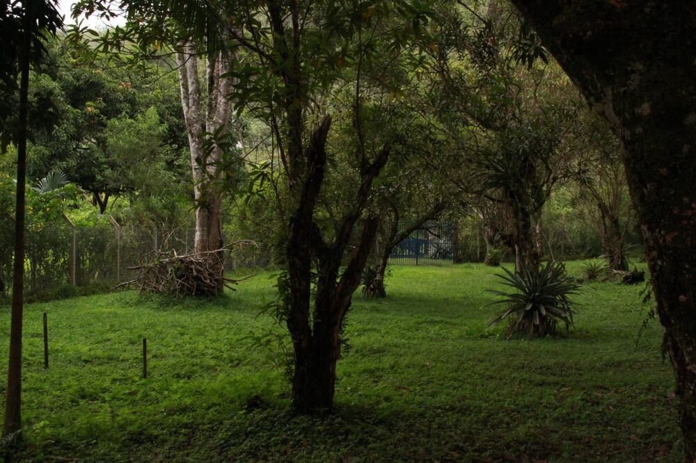 Chácara, 4 quartos, 6 hectares - Foto 8