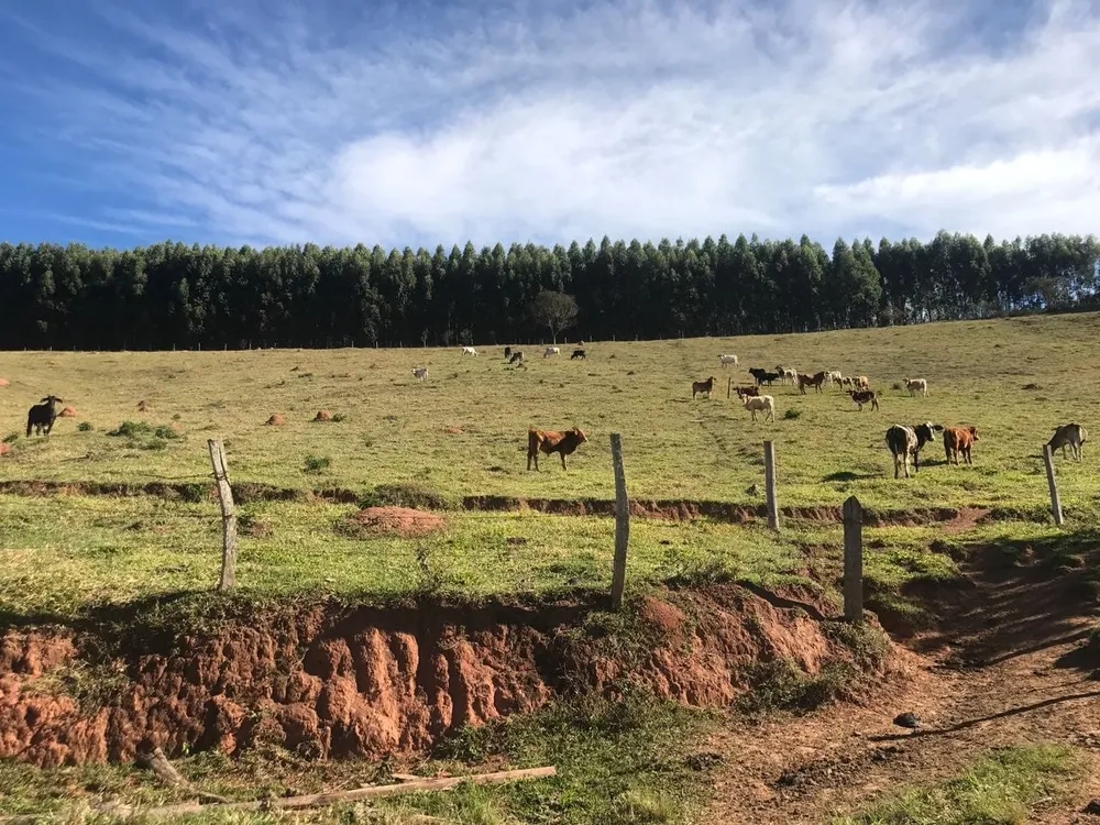 Sítio, 3 quartos, 16 hectares - Foto 3