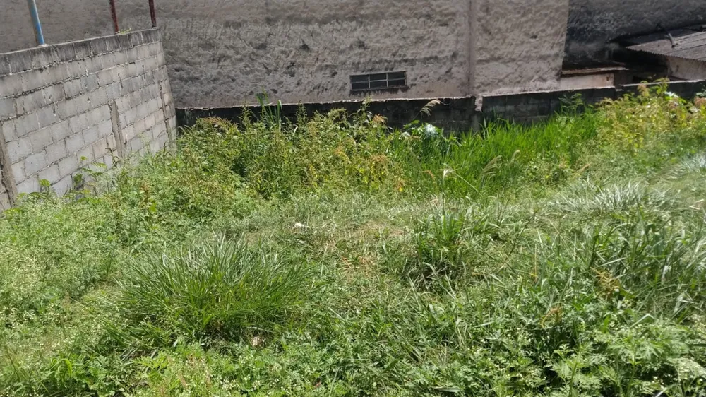 Terreno, 250 m² - Foto 1