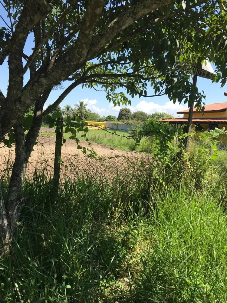 Terreno, 2000 m² - Foto 2