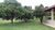 Terreno, 1000 m² - Foto 2