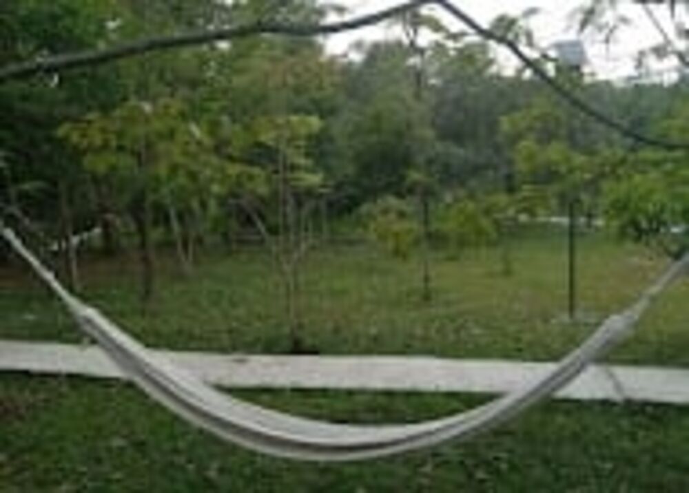 Casa, 2 quartos, 80 m² - Foto 1