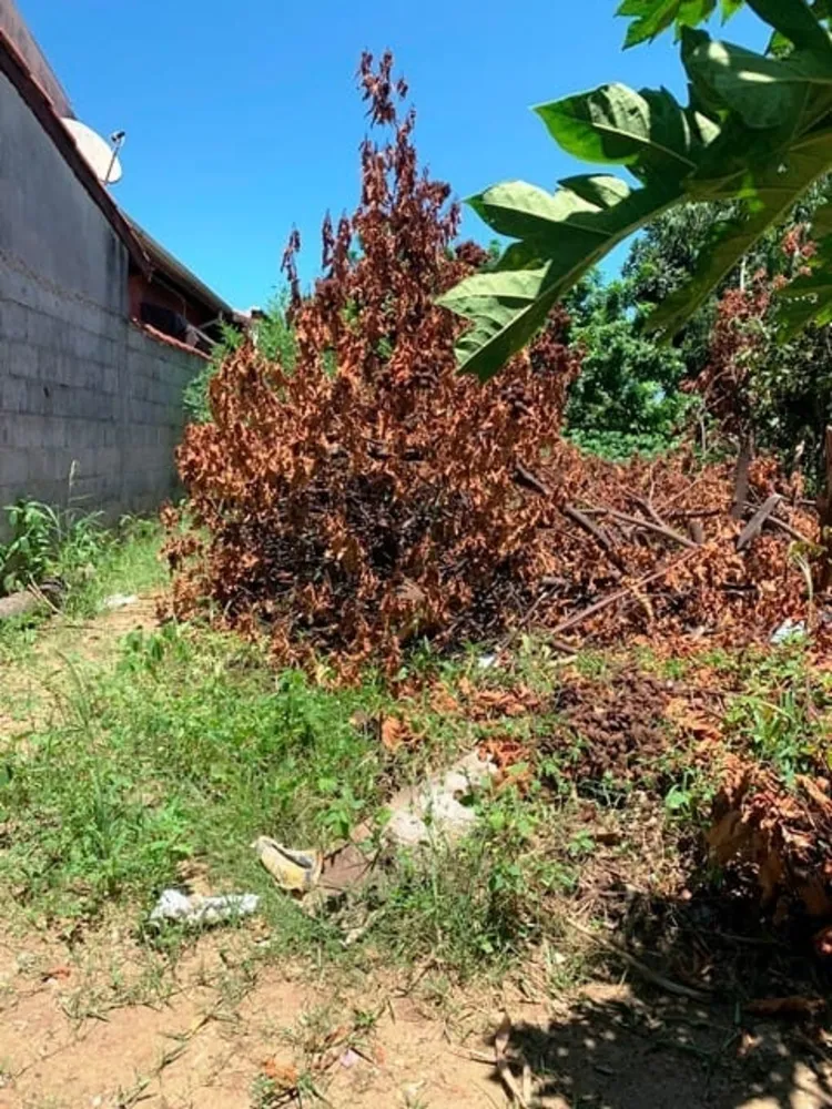 Terreno, 330 m² - Foto 2