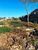 Terreno, 300 m² - Foto 3