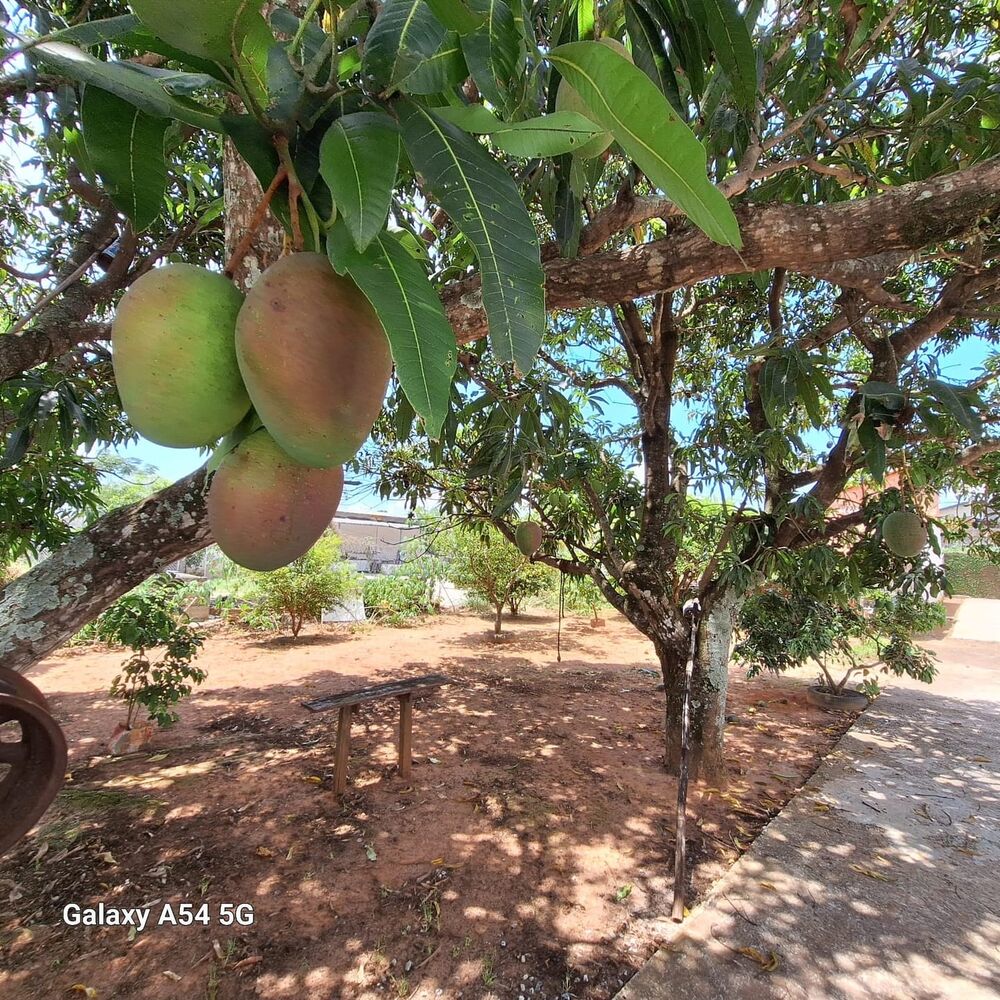 Chácara, 2 quartos, 1000 m² - Foto 8