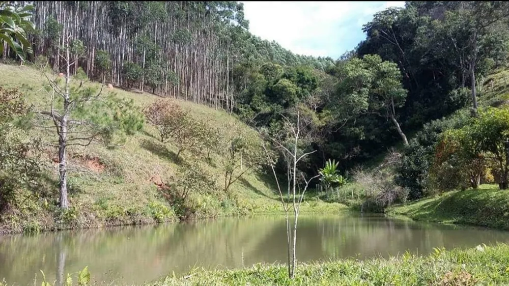Fazenda, 145 hectares - Foto 3