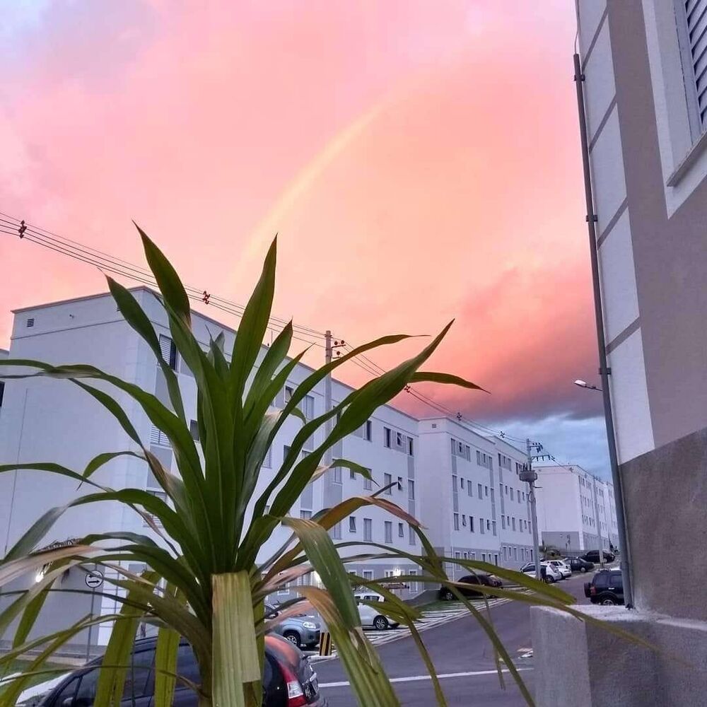 Apartamento, 2 quartos, 44 m² - Foto 8