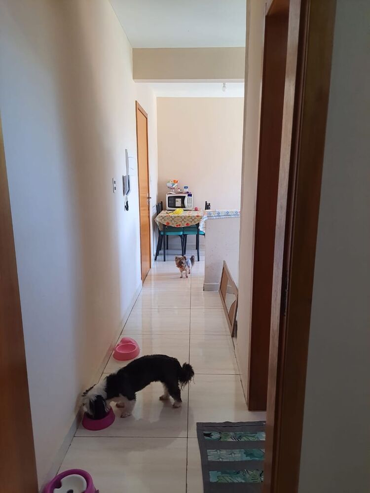 Apartamento, 2 quartos, 50 m² - Foto 6