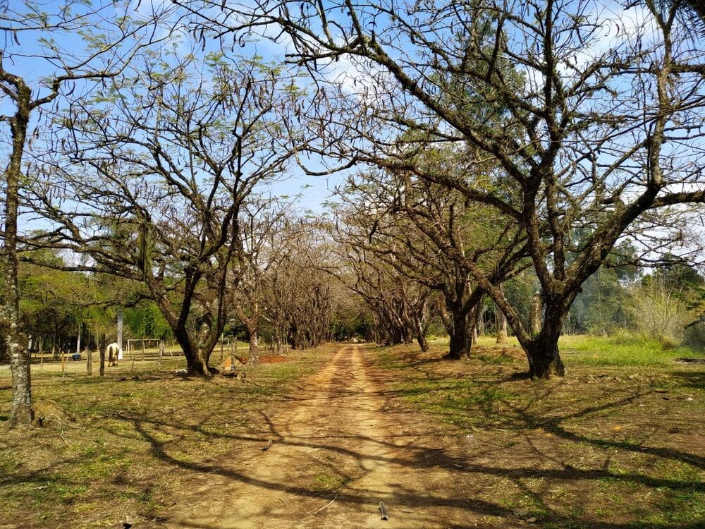 Sítio à venda com 7 quartos, 700m² - Foto 20
