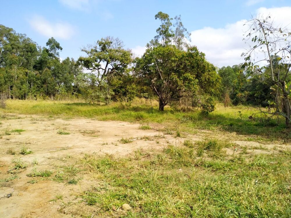 Sítio à venda com 7 quartos, 700m² - Foto 1