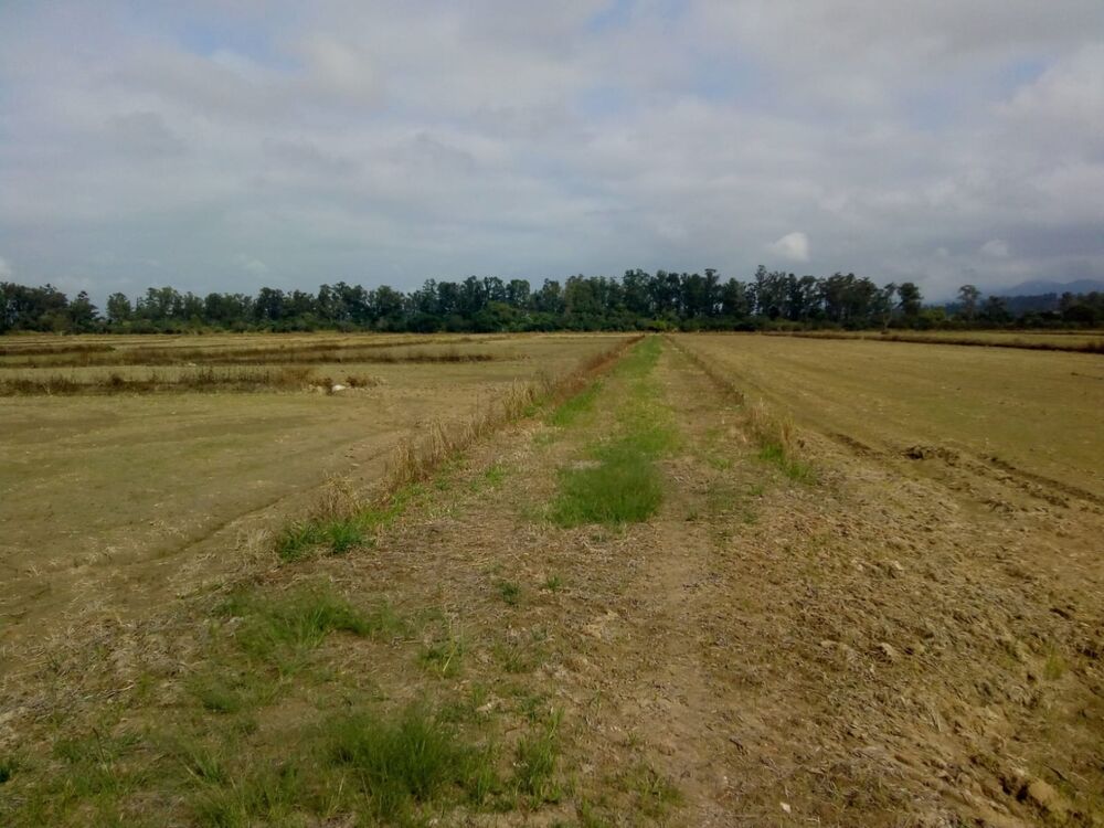 Terreno à venda, 363000m² - Foto 1