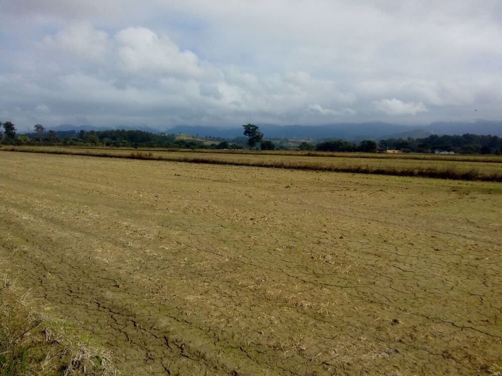 Terreno à venda, 363000m² - Foto 2