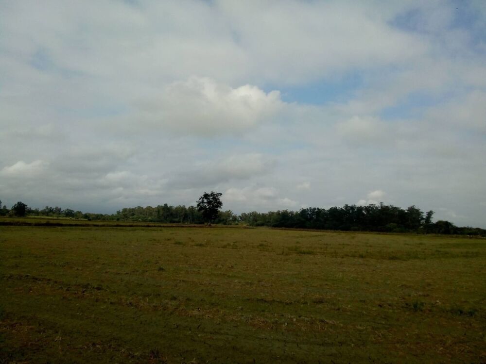 Terreno à venda, 363000m² - Foto 3