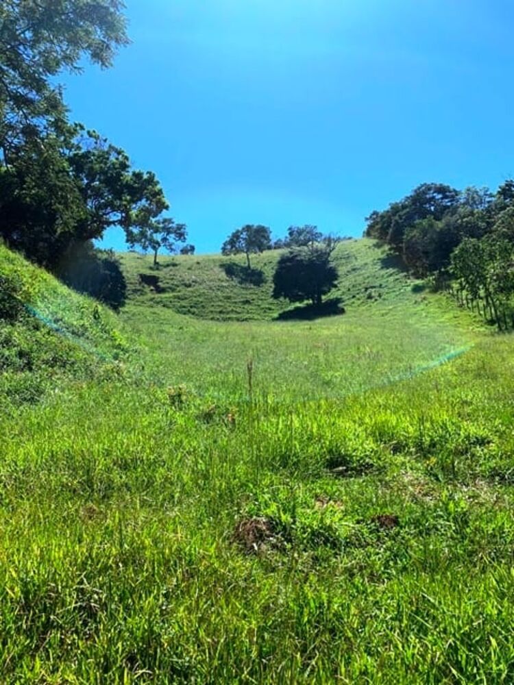 Terreno à venda, 72000m² - Foto 4